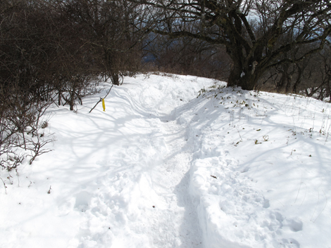 20170118hike (337)